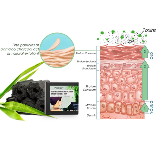 CNDB flysmus™ Acanthosis Nigricans Treatment Bamboo Charcoal Soap