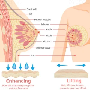 DYCECO™ Korean Breast Enhancement Patch