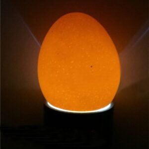 Egg Tester Light