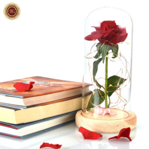 Enchanted Rose Flower Lamp