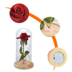 Enchanted Rose Flower Lamp