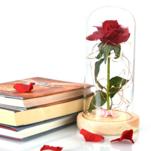 Enchanted Rose Flower Lamp