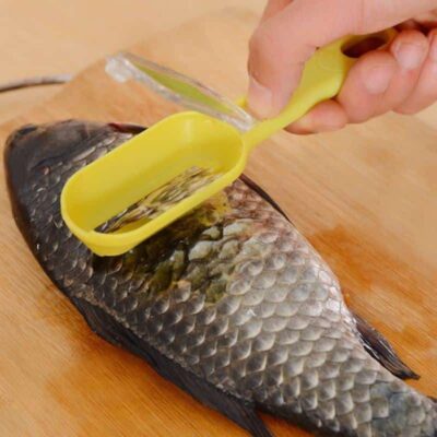 Fish Scale Remover