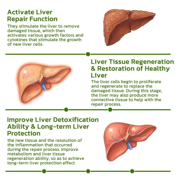 LK Vegan Liver Cleaning Nasal Herbal Box