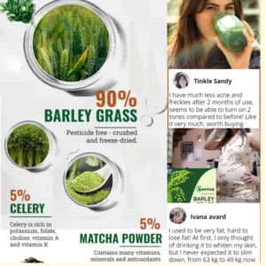 Naveta™ Barley Grass Powder 100% Pure & Organic