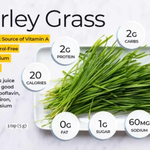 Naveta™ Barley Grass Powder 100% Pure & Organic