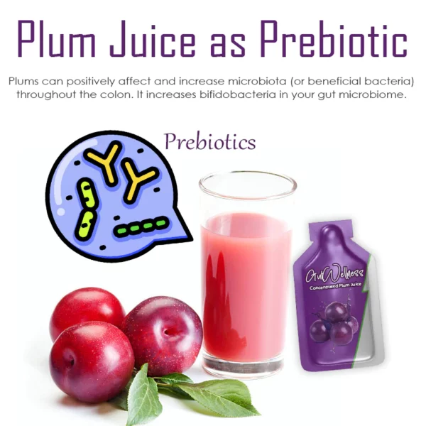 ATTDX GutWellness Concentrated Plum Juice