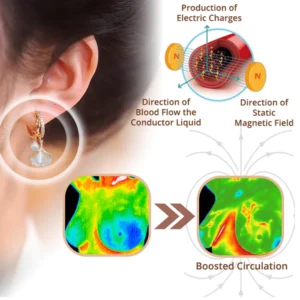 FLYSMUS™ MAGNET THERAPY GERMANY DETOX EARRINGS