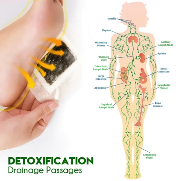 GFOUK™ TruDetox Lymphdrainage-Fußpads - Image 4