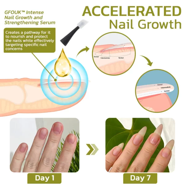 GFOUK™️ Intense Nail Growth and Strengthening Serum - Image 3