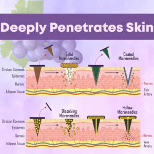 Microneedling LipidReduction Patch