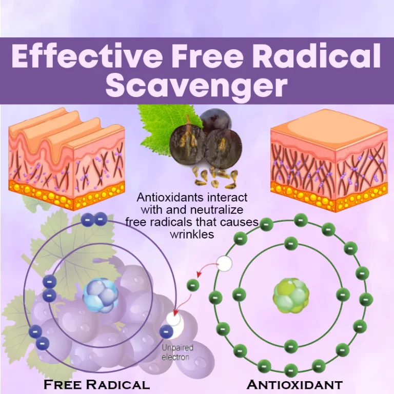 Microneedling LipidReduction Patch