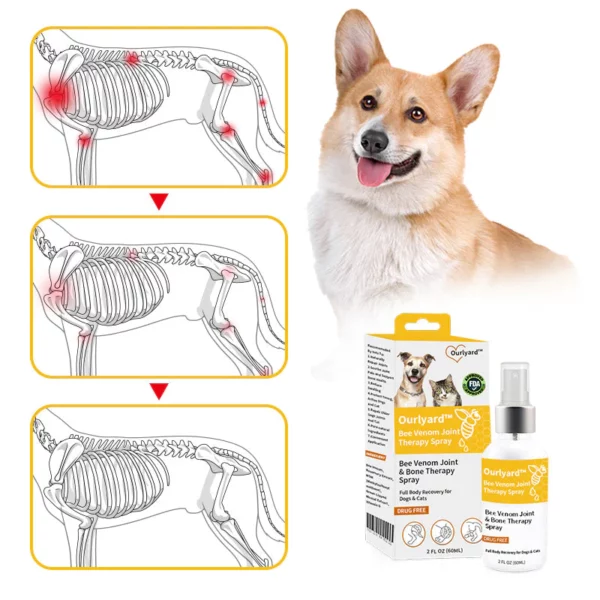 Ourlyard™ Bee Venom Joint & Bone Therapy Spray - Image 4