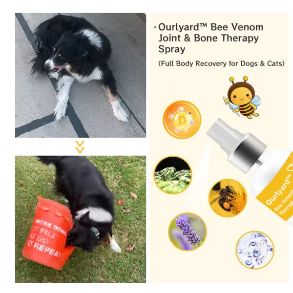 Ourlyard™ Bee Venom Joint & Bone Therapy Spray - Image 5