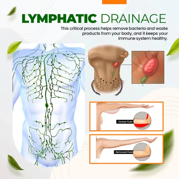 SouthPro™️ Lymph Nodes Herbal Detox Cream - Image 4