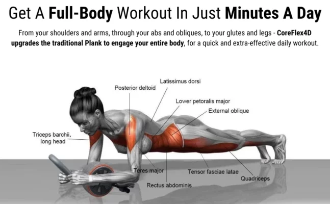 ABDOMINAL WHEEL REBOUND