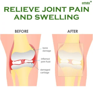 ATTDX BeeVenom Joint Relief Patch