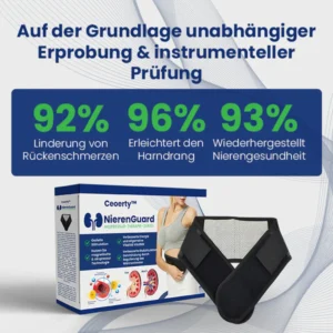 Ceoerty™ NierenGuard Akupressur-Therapie-Gürtel