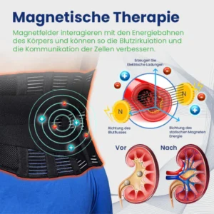 Ceoerty™ NierenGuard Akupressur-Therapie-Gürtel