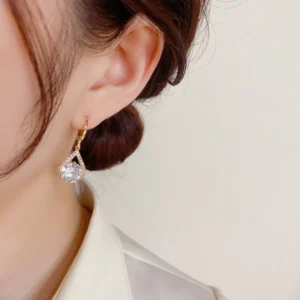 EELHOE™ Lymphvity MagneTherapy Germanium Earrings