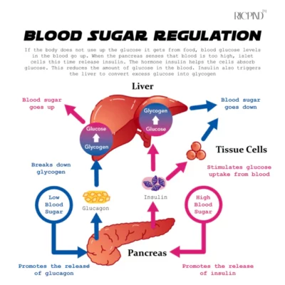 Ricpind ProRelief TitaniumION SugarControl Wristband