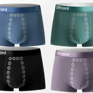 Sfrcord® Ion Ice Silk Men's Functional Briefs