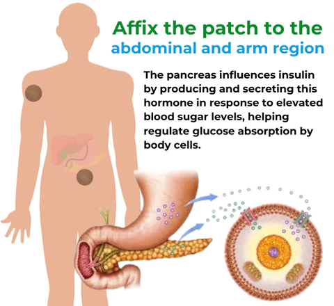 AEXZR™ Sugar Regulator Patch