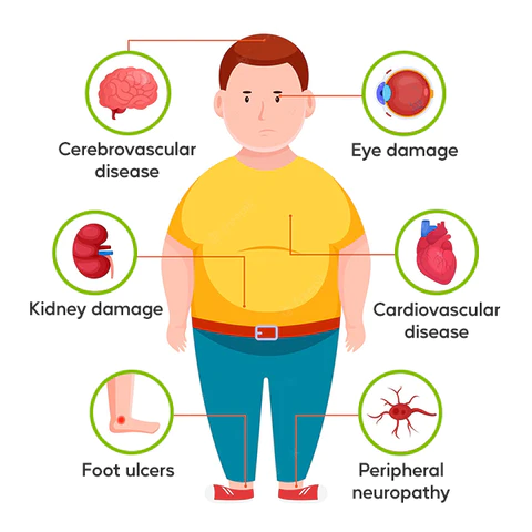 Chlorophyll Sugar Control Drops