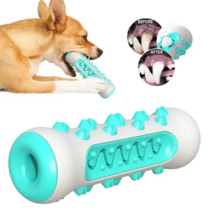 Dog Molar Toy