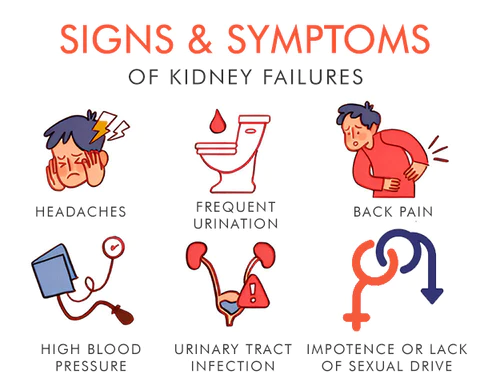 EASYRX™ Kidney Care Patch