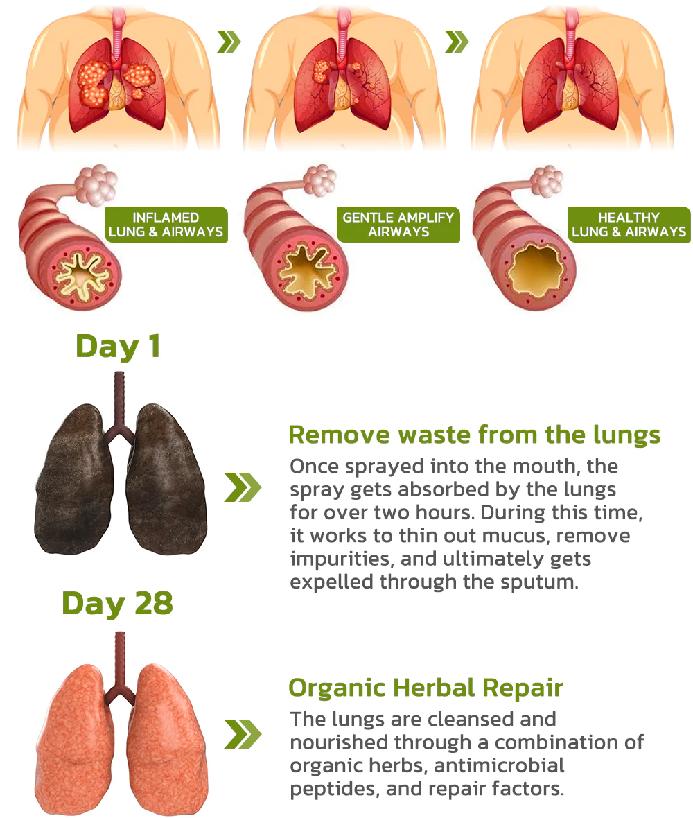 CC™️ BreathDetox Herbal Lung Cleansing Spray