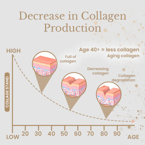 Ceoerty™ ReversiAge NMN Collagen Serum