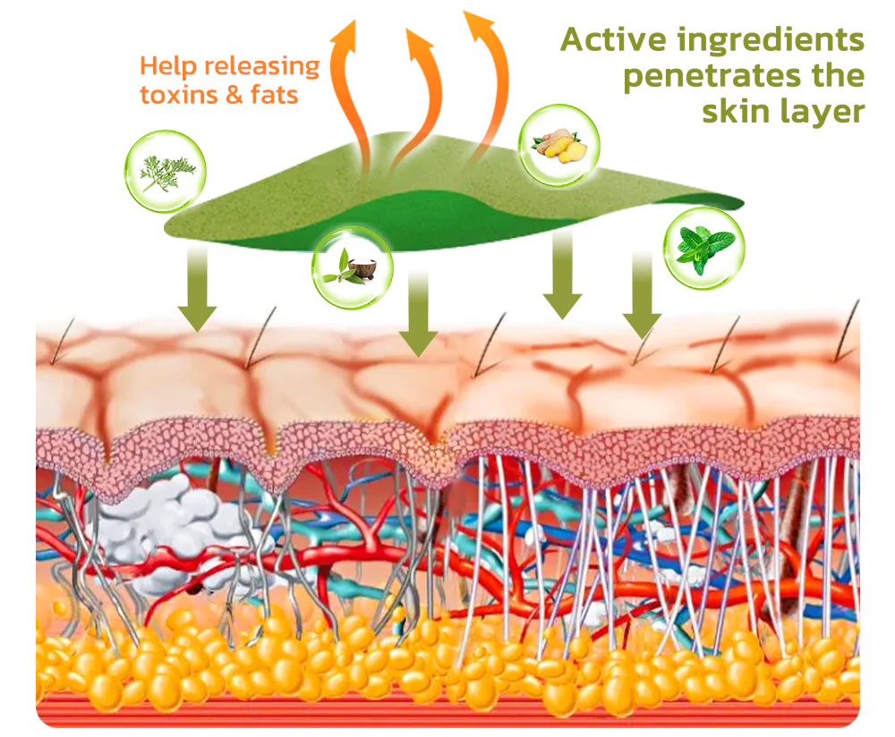 GFOUK™ HerbalLegs Cellulite Reduction Patches