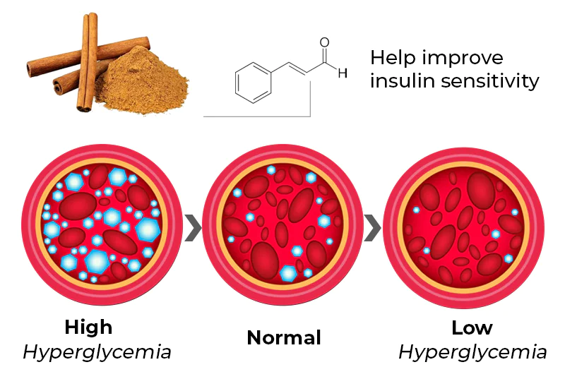 GFOUK™ SugarSync Gesundheit Kontrolle Aerosolizer