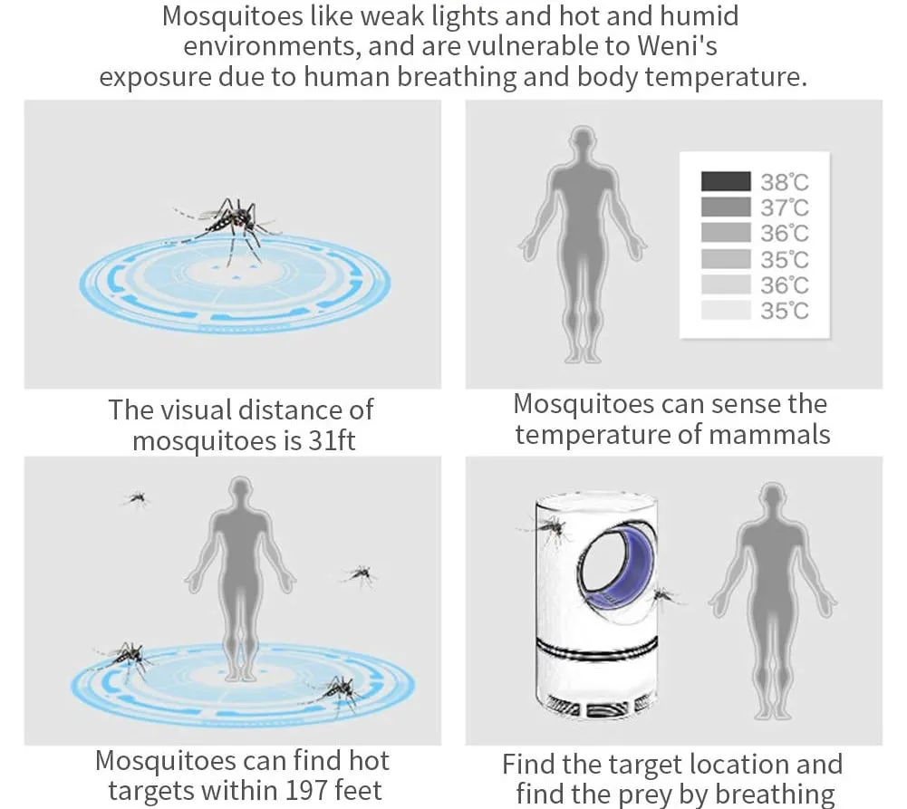 Mosquito And Flies Killer Trap