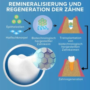 AEXZR™ Zahnnachwuchsstreifen aus Haifischknorpelprotein