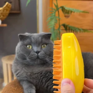 Cat Steamy Brush