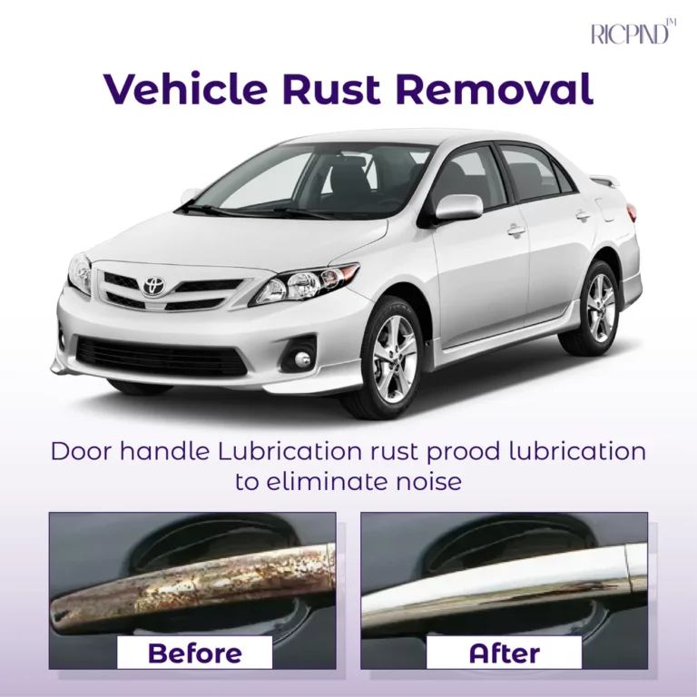 RICPIND Metal Saver Rust Removal Spray