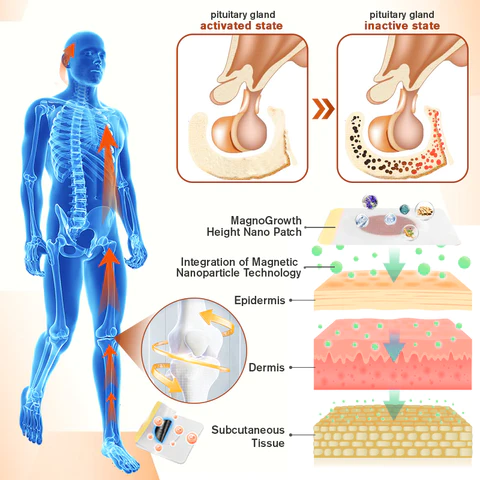 Sugoola™ MagnoGrowth Height Nano Patch 
