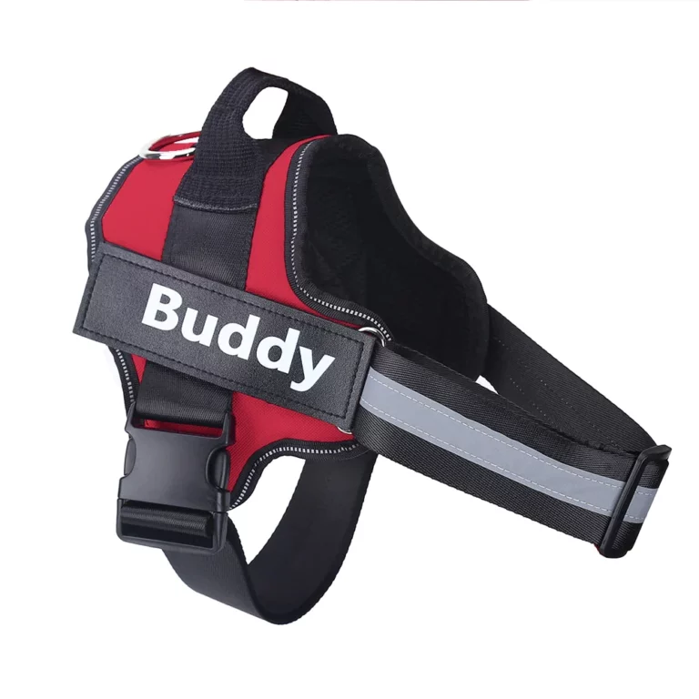 AirOmn™ Personalized No Pull Dog Harness