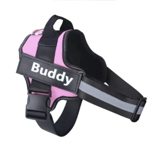 AirOmn™ Personalized No Pull Dog Harness