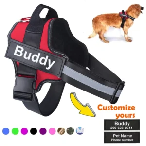 AirOmn™ Personalized No Pull Dog Harness