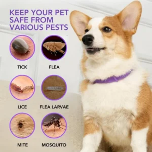 Fivfivgo™ VerminOFF Pest Free Pet Health Belt