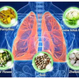 Lovilds™ Herbal Lung Cleanse Mist