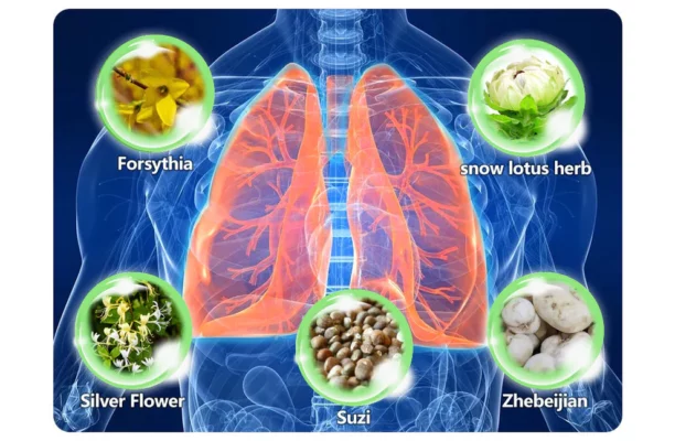 Lovilds™ Herbal Lung Cleanse Mist