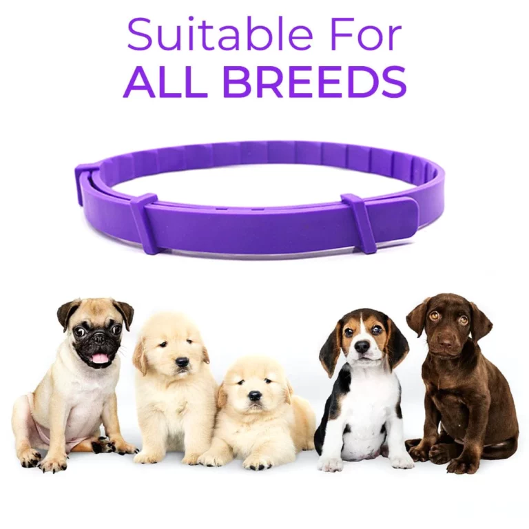 Ourlyard™ VerminOFF Pest Free Pet Health Belt