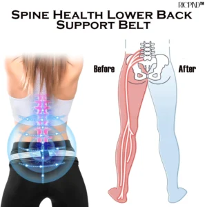 RICPIND Spine Health Lower Back Support Belt