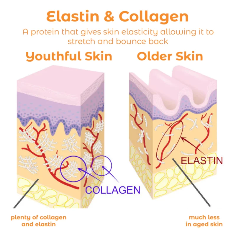 ATTDX SolubleCollagen AntiAging Mask