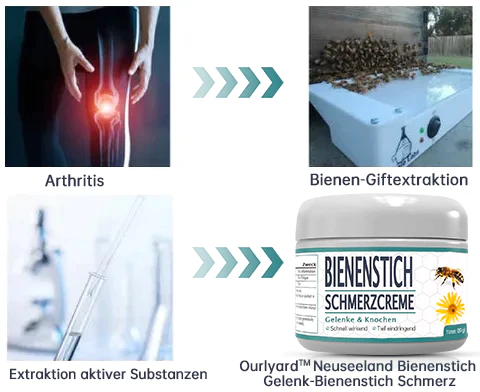 Neuseeland Bienenstich Gelenk-Bienenstich Schmerz- und Knochenheilungscreme