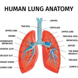 Oveallgo™ ProX Natural Herbal Spray for Lung and Respiratory Support